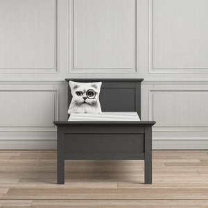 Kids Paris Single Bed in Matt Grey  -  (90 x 200) - The Home Collections