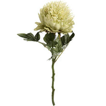 Load image into Gallery viewer, Green Peony