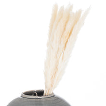 Load image into Gallery viewer, Mini White Pampas Grass Bunch Of 15