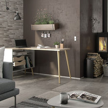 Load image into Gallery viewer, Home Office Oslo Desk 2 Drawer in White and Oak - The Home Collections