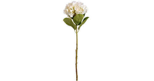 Oversized White Hydrangea