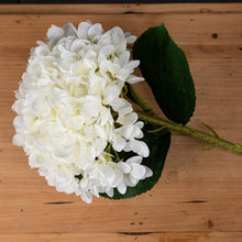 Load image into Gallery viewer, Oversized White Hydrangea