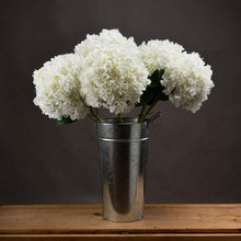 Load image into Gallery viewer, Oversized White Hydrangea