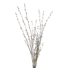 Load image into Gallery viewer, Pussy Willow Branch